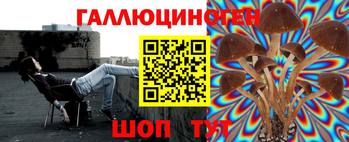 Галлюциногенные грибы Cubensis Трёхгорный
